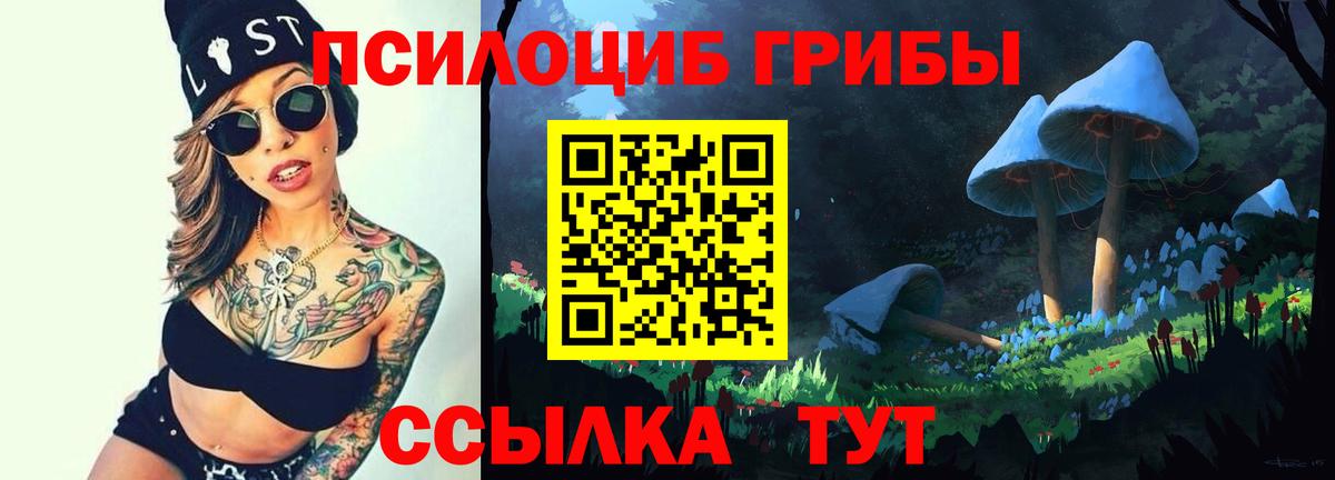 Псилоцибиновые грибы MAGIC MUSHROOMS  купить  цена  Егорьевск  Вход с VPN 